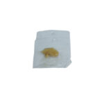 Ghoor 25g