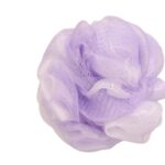 Bath Sponge